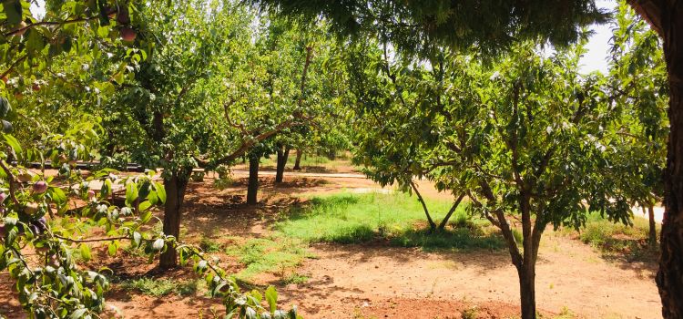 Bilgin Anaokulu Döşemealtı Antalya