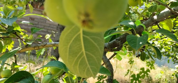 Gölbaşı Bahar Çocuk Kreş ve Gündüz Bakımevi