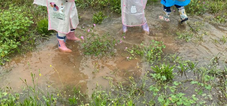 5 parmak -Özel kreş ve Gündüz bakımevi