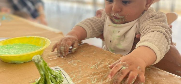 Didim Meraklı Koala