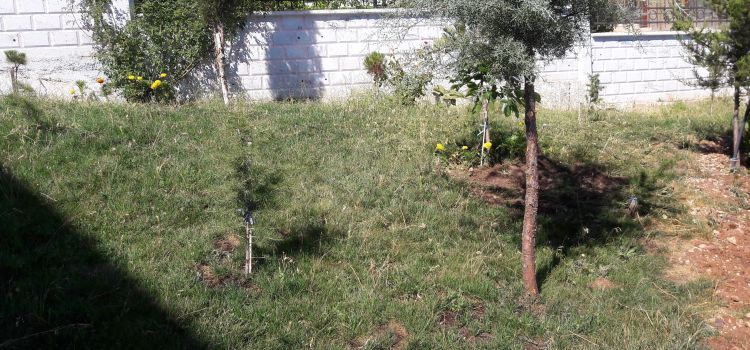 Salkım Anaokulu