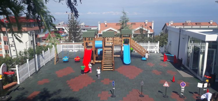 Teol Anaokulları ve Kreş
