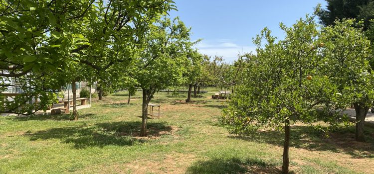 Bilgin Anaokulu Döşemealtı Antalya