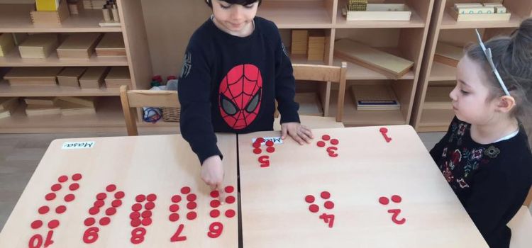 BALARISI MONTESSORİ ANAOKULU (UYGULAMA MERKEZİ)