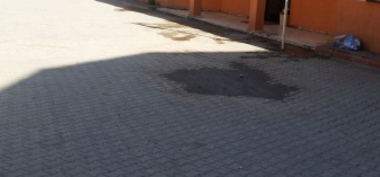 Nuhun Gemisi Anaokulu