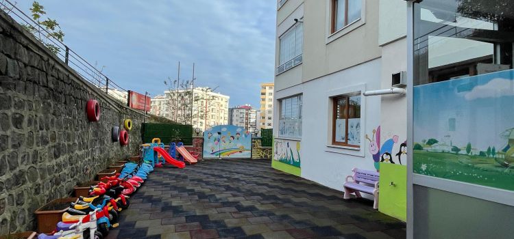 Özel Yıldızlı Yeni Dünya Kreş Ve Anaokulu