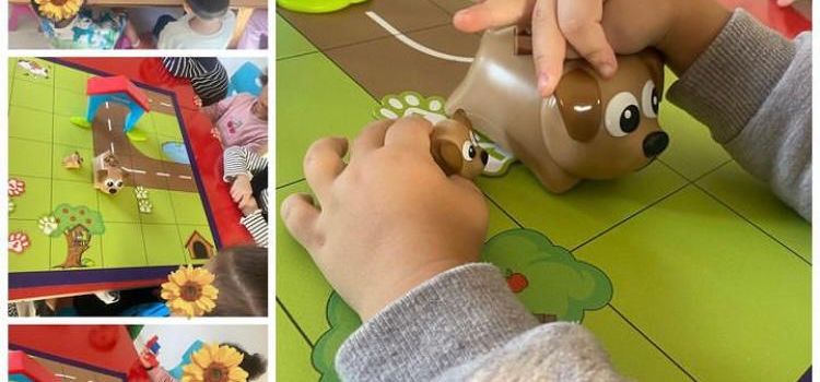 Çoklu Zeka Kreş ve Gündüz Bakımevi