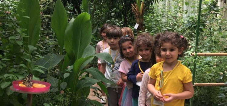 BALARISI MONTESSORİ ANAOKULU (UYGULAMA MERKEZİ)