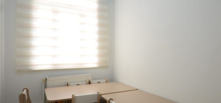 ÖZEL KARTALTEPE DAHİ ÇOCUK ANAOKULU