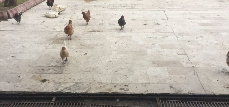 Şehit Teğmen Doğuş Uran Anaokulu