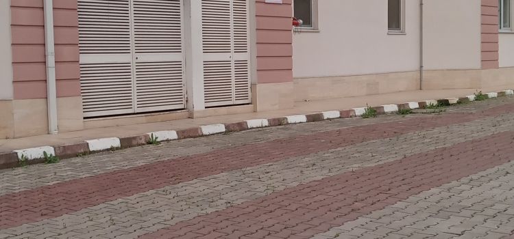 ÖMER BURAK TERZİ ÖZEL EĞİTİM ANAOKULU