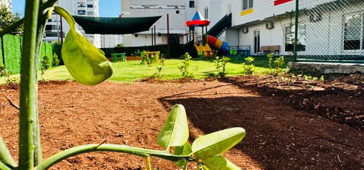Mersin Yenişehir AKD Kids Amerikan Kültür Anaokulu