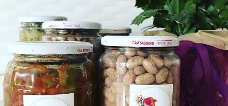 Özel Eskişehir Nar Çiçeği Anaokulu