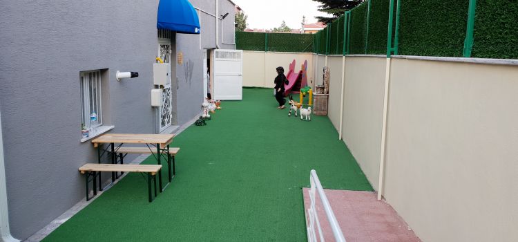 ESKİŞEHİR ÖZEL ASAY ANAOKULU