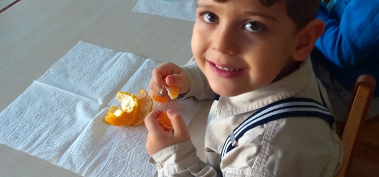 Zehra Sarar Anaokulu