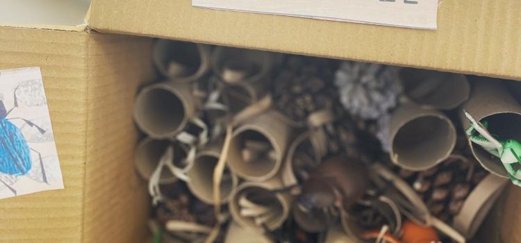 Didim Meraklı Koala