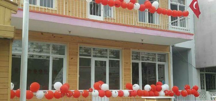 ÖZEL BİLGİN ADIMLAR ANAOKULU
