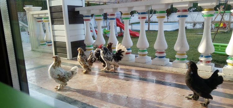 Bahçem Anaokulu Kayseri