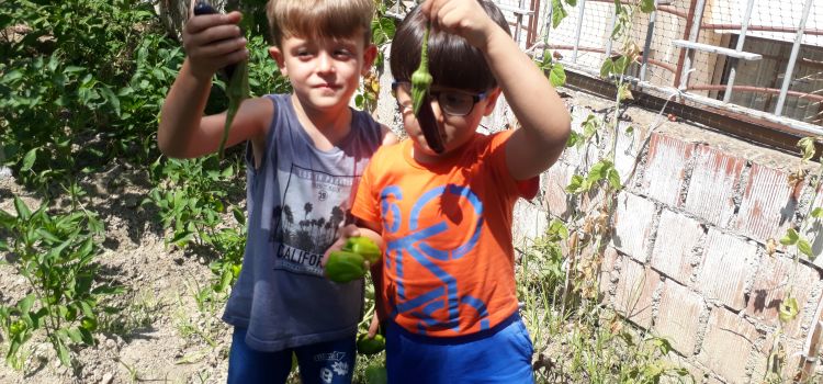 MAVİ ADA MONTESSORİ ANAOKULU