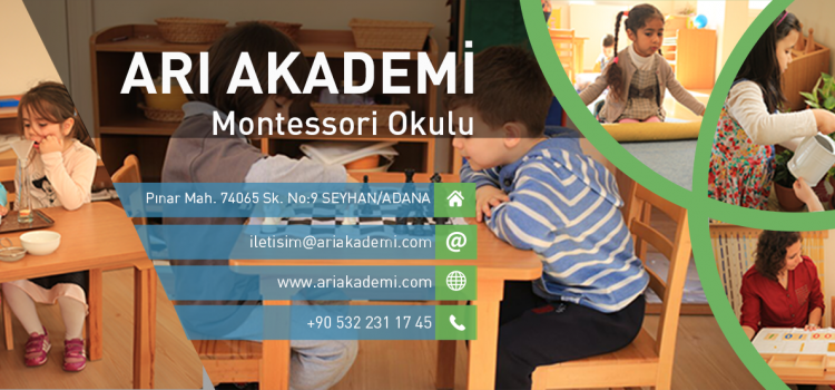 Arı Akademi Montessori Okulu