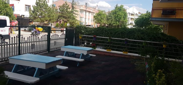 İnci Yaka Akademi