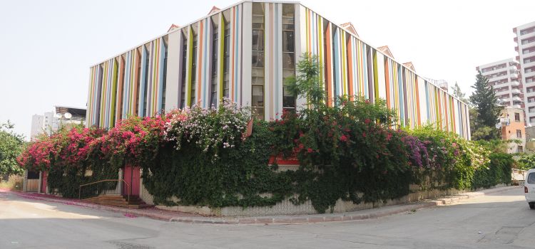 Arı Akademi Montessori Okulu