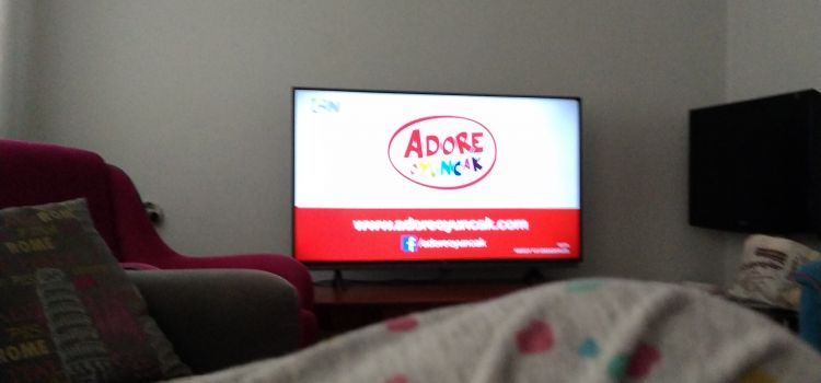 vilayetler hizmet birliği anaokulu