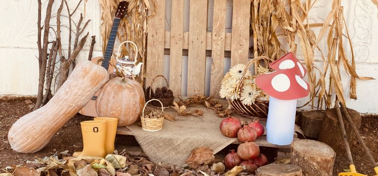 5 parmak -Özel kreş ve Gündüz bakımevi