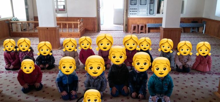 Özel Söğütlü Pembeköşk Kreş Ve Gündüz Bakım Evi