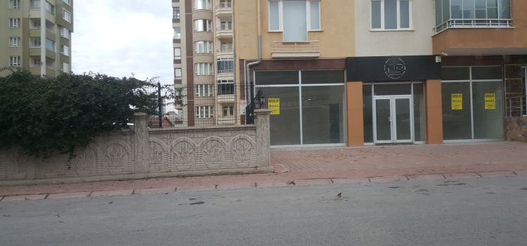 Özel ALP ANAOKULU 3-6 YAŞ