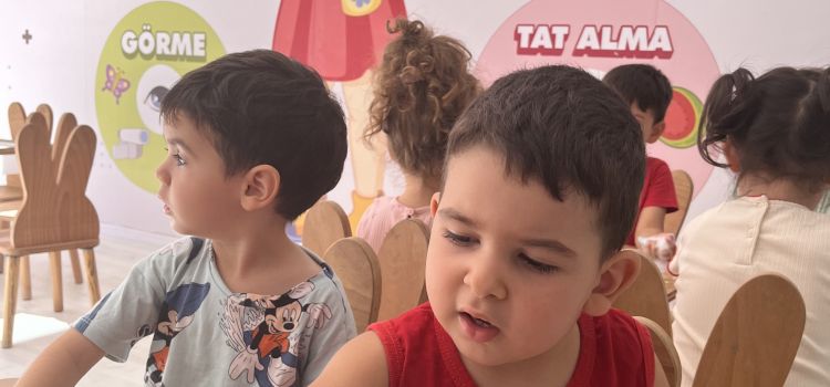 Özel Balıkesir Keşif Atölyesi Anaokulu