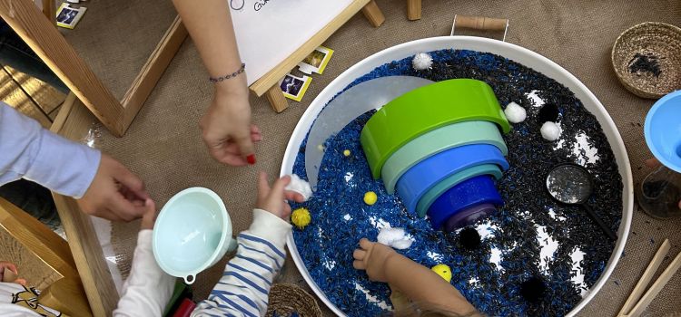 Didim Meraklı Koala