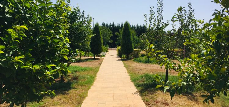 Bilgin Anaokulu Döşemealtı Antalya