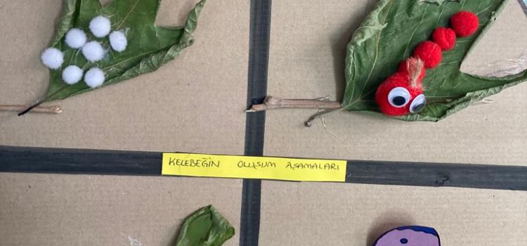 Çoklu Zeka Kreş ve Gündüz Bakımevi