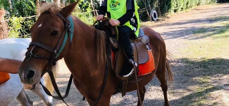 İşsever Kids Anaokulu ve Kreş