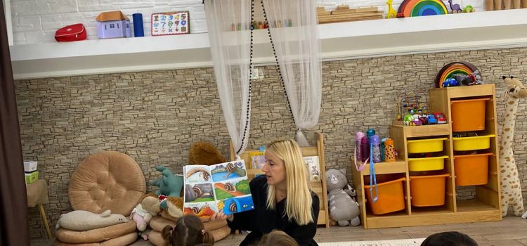 Didim Meraklı Koala