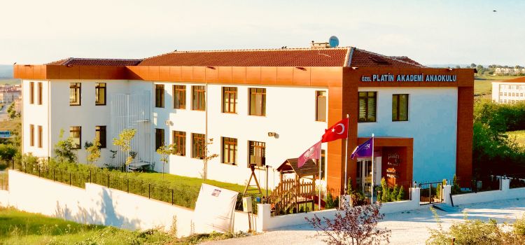 Platin Akademi