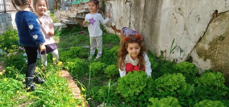 MAVİ ADA MONTESSORİ ANAOKULU