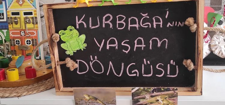 Neşeli günler kreş ve gündüzbakımevi