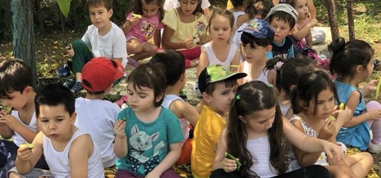 Özel Eskişehir Nar Çiçeği Anaokulu