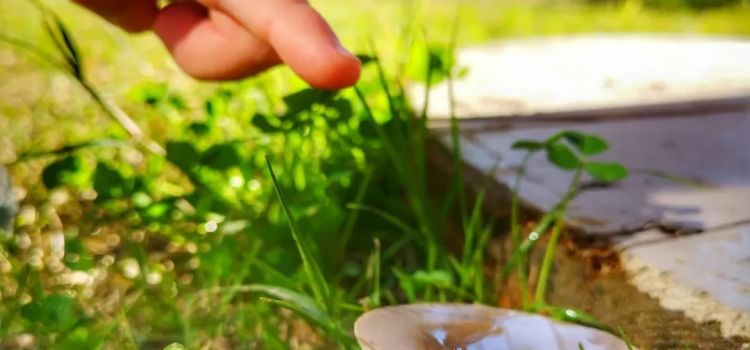 Ant Çocuk Akademi Adana Anaokulu ve Kreş