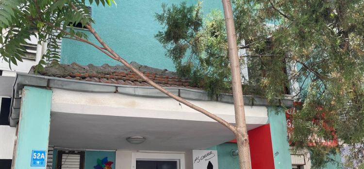 Rüzgar Gülü Kreş Ve Gündüz Bakim Evi