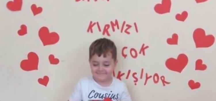 MAVİ DENİZ YILDIZI ANAOKULU,Balıkesir Anaokulu,Kreş,Okul Öncesi,En İyi Anaokulu,