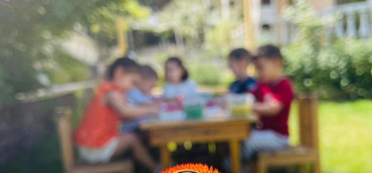 Bahçem Anaokulu Kayseri