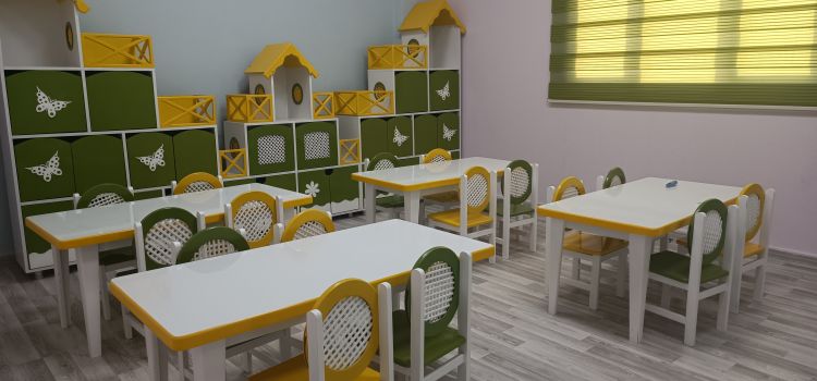 Nova Çocuk Gelişim Akademisi