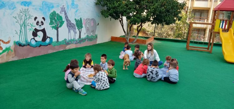 MAVİ ADA MONTESSORİ ANAOKULU