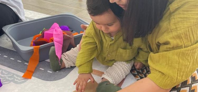 Didim Meraklı Koala