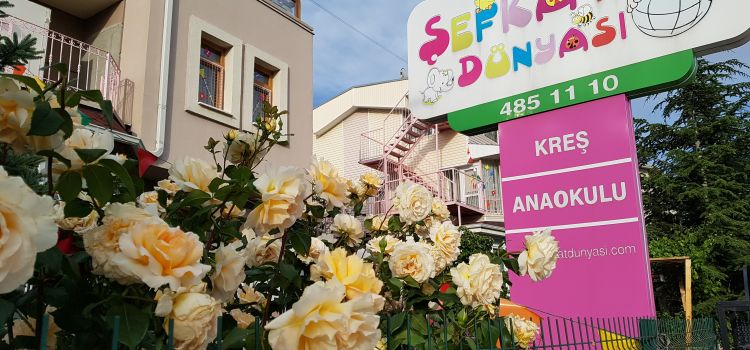 Şefkat Dünyası Anaokulu ve Etüt Merkezi