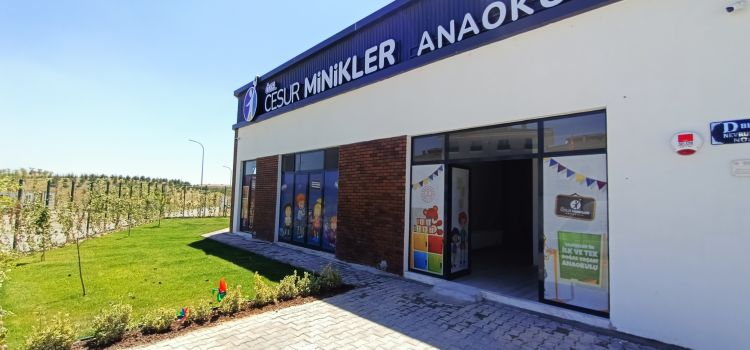 Özel Cesur Minikler Anaokulu Vadişehir