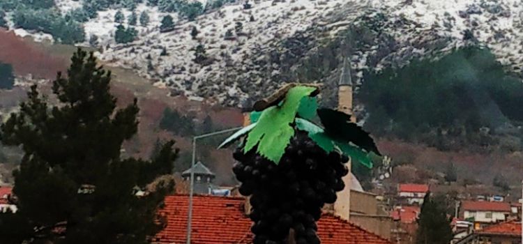 Isparta Uygulamalı Bilimler Üniversitesi Senirkent Meslek Yüksekokulu